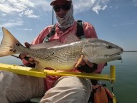 28&quot; Redfish #2 on 20240517